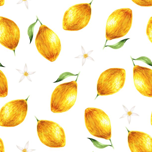 柠檬和花朵的无缝模式隔离在白色，手绘标记插图水彩技术图片下载