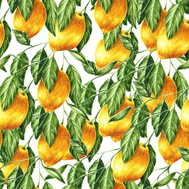 柠檬和叶子的无缝模式隔离在白色，手绘标记插图在水彩技术图片下载