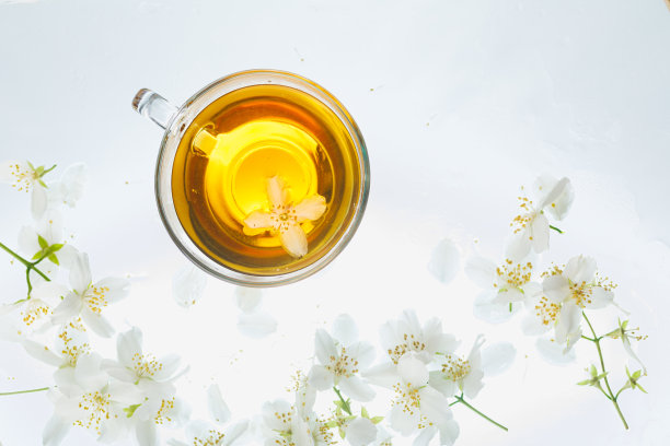 白底茶、绿茶、凉茶、茉莉花茶的创意布局。平的。食品的概念。图片下载