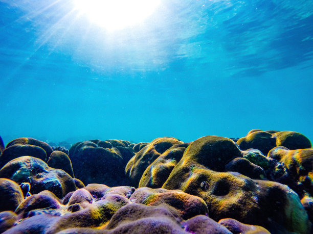 在菲律宾长滩岛，像石头一样的珊瑚礁被阳光照亮。图片下载