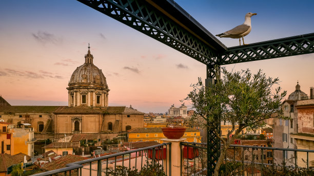 从鲜花广场的露台上看到的罗马巴洛克市中心田园般的黄金时段城市景观图片下载