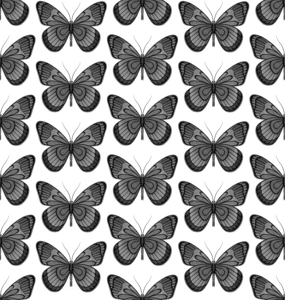 白色无缝图案与灰色数字水彩蝴蝶图片下载