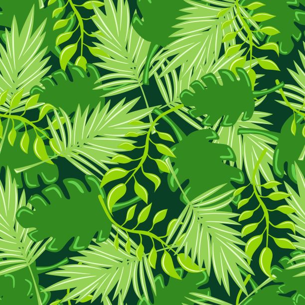 棕榈树的叶子。无缝模式。向量的背景。图片下载