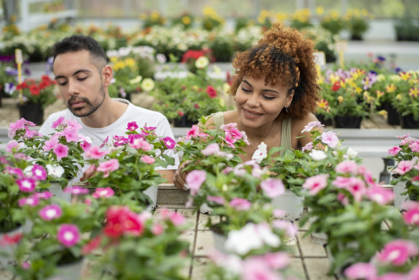 夫妇闻着温室里的植物喜笑颜开，幸福美满图片下载