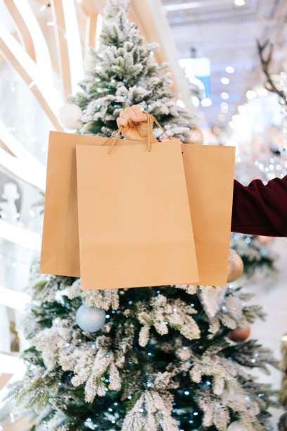 圣诞夜，一个身份不明的男子手持装有礼物的纸袋站在庆祝购物中心的大厅里。图片下载