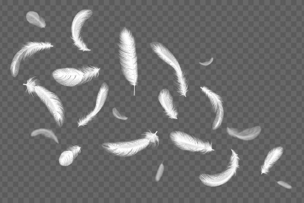 白色的飞翔羽毛，坠落天使的羽毛，鸟儿翅膀的元素。3d光框架隔离在透明的背景，鸽子或天鹅的空气轮廓，柔和的颜色矢量逼真的插图图片下载
