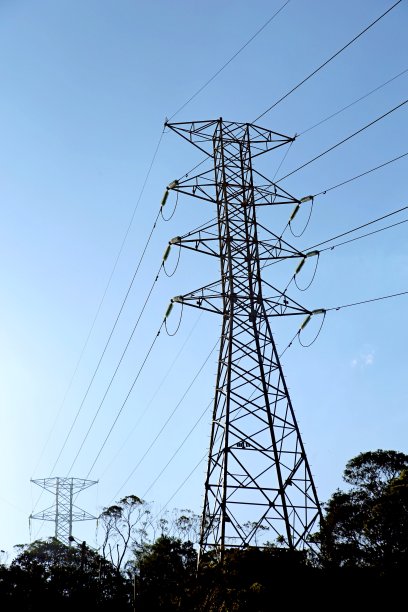 森林中央有一座高大的金属电塔图片下载