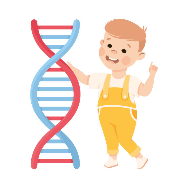 可爱快乐的小男孩正在学习dna结构。学龄前儿童在生物课上学习卡通矢量插图图片下载