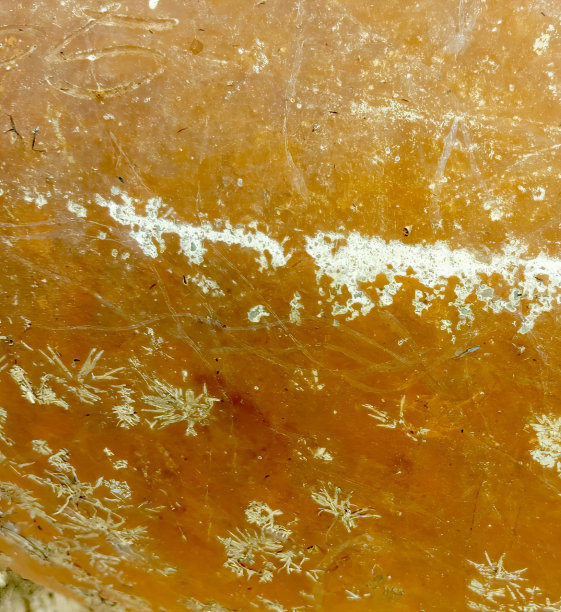 一张面包的照片上面有很多棕色的东西，这是一张面包的特写，上面有很多棕色的东西。图片下载