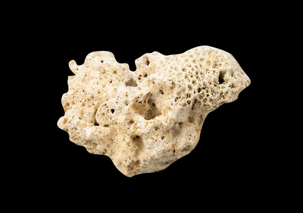 白色珊瑚石艺术孤立元素图片下载