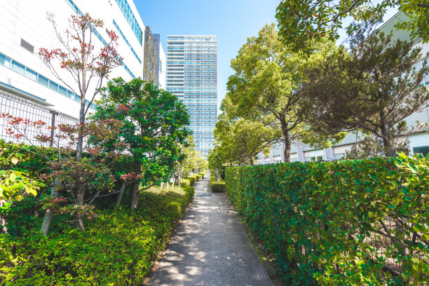 公园里空荡荡的人行道图片下载