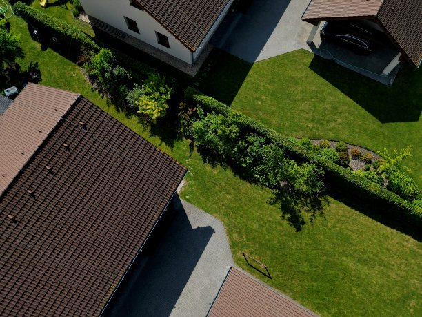 房子的露台上有一个美丽的花园，花园家具上配有金属丝制成的椅子和一张椭圆形的桌子。灰色混凝土砖露台。开花和观赏草图片下载