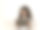 小女孩在白色背景前使用平板电脑。图片下载