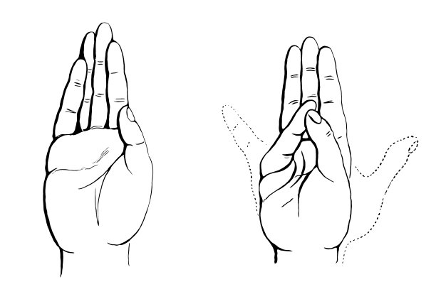 练习手部，拇指图片下载