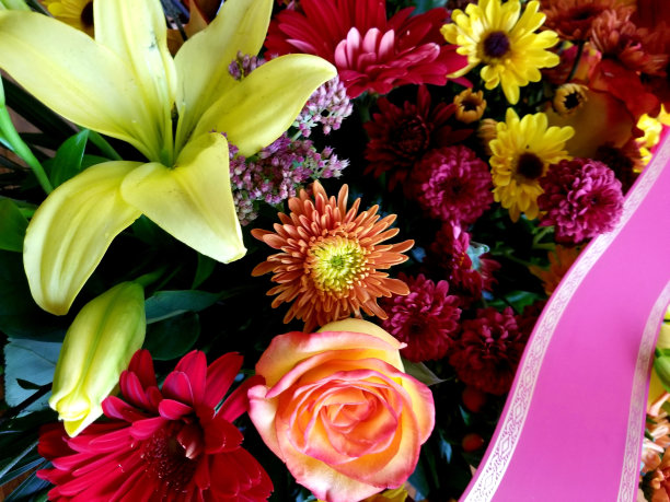 和平与爱的花瓣图片下载