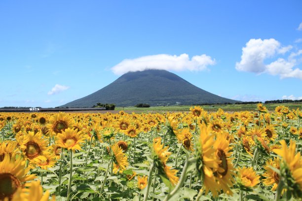 夏天的Ibusuki图片下载