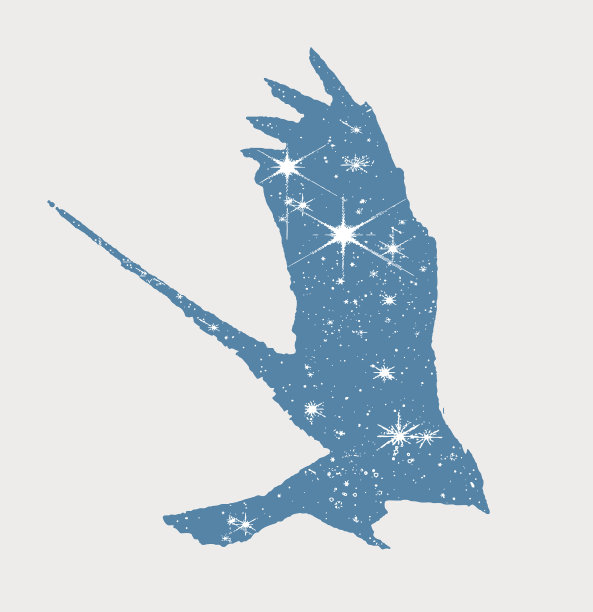 飞行中的鸟和星星的多重曝光图片下载