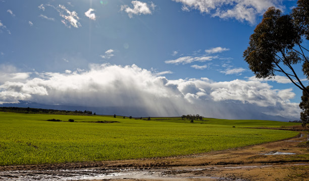 南非谷神星附近的冬季蓝天全景。图片下载