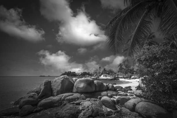 黑白风景照片图片下载