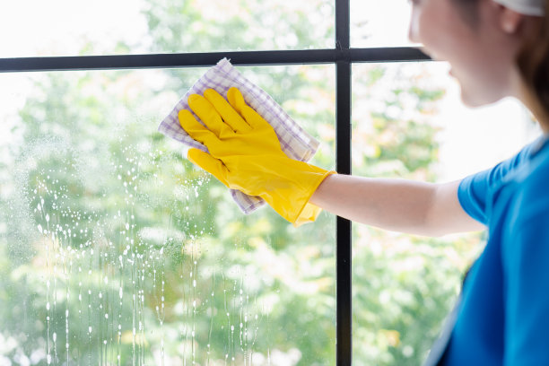 家务或家政服务女清洁厕所灰尘，清洁代理小生意。专业设备清洗老宅。图片下载