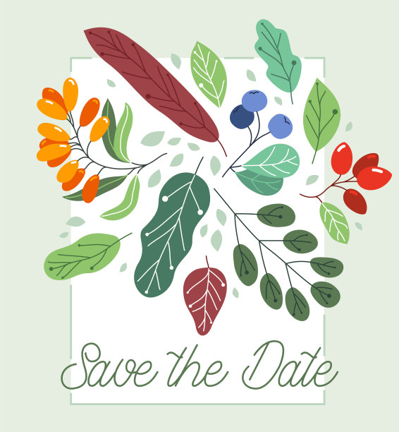 有成熟的野生浆果和新鲜的贺卡图片下载