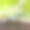 一只色彩斑斓的绿色非洲蜥蜴图片下载