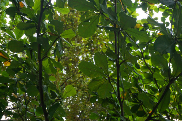 用抽象的物体储存照片，作为完美的背景图片下载