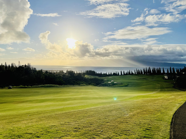 卡帕卢亚种植园图片下载
