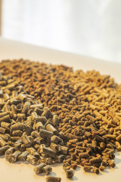 家畜饲料，包括马、驴、骡、猪、山羊和鸡图片下载