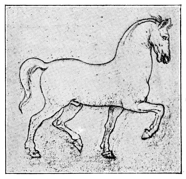 达·芬奇的马素描图片下载