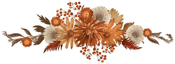 秋季花卉数字绘制插图图片下载