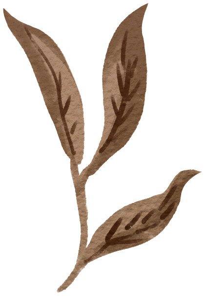 秋天的花叶数码绘制插图图片下载