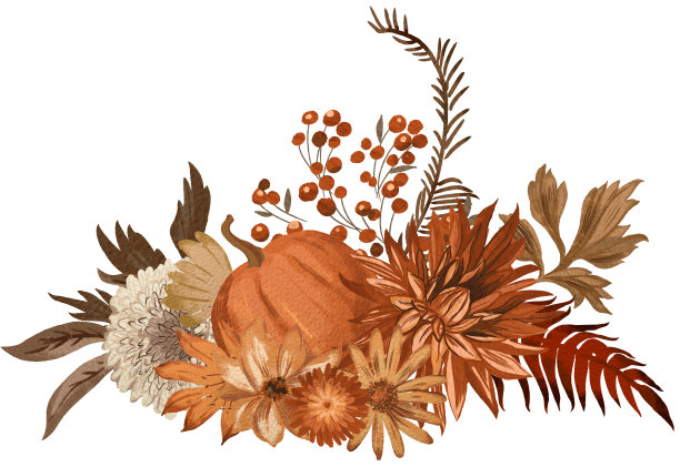 秋季花卉数字绘制插图与橙色南瓜图片下载