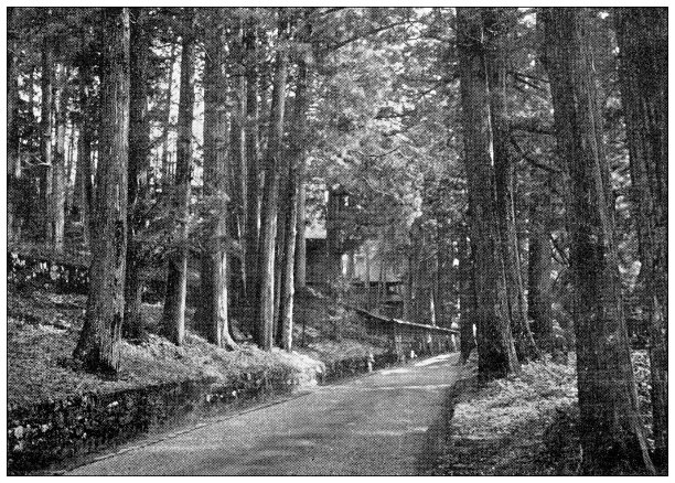 古色古香的日本旅行照片:森林小径图片下载