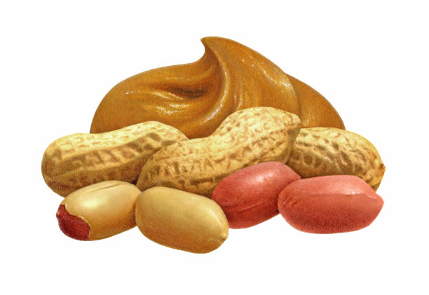 花生酱集团图片下载