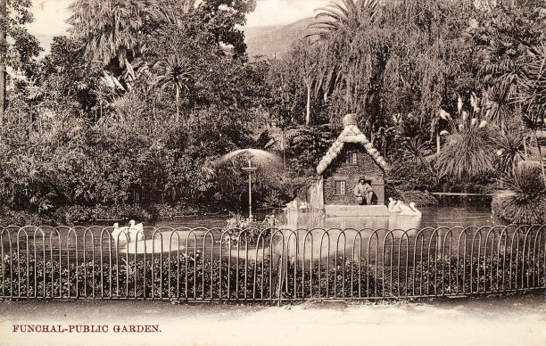 Funchal公共花园，游客，池塘，鸭屋，马德拉岛，1890年代，19世纪，复古照片图片下载