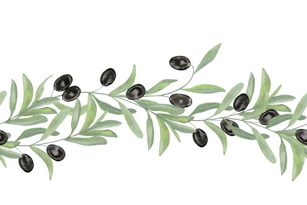 橄榄枝水彩水平无缝边框和缎带。花框的邀请和贺卡。背景菜单和名片在复古绿色色调。植物食品说明图片下载