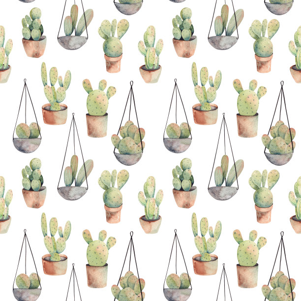 无缝模式的水彩仙人掌在花盆和悬挂室内植物插图在一个白色的背景图片下载
