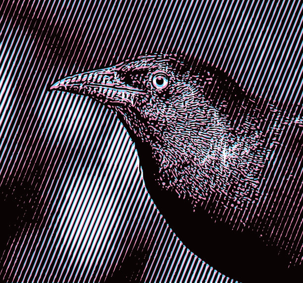 普通白头翁与故障技术图片下载