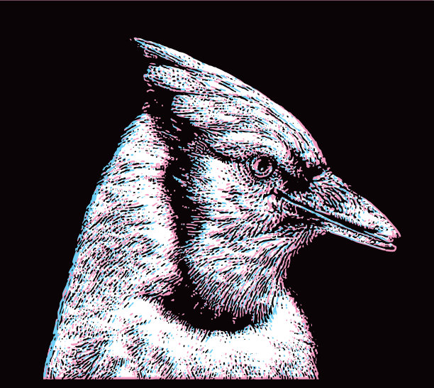 蓝鸦的头和脸与故障技术图片下载