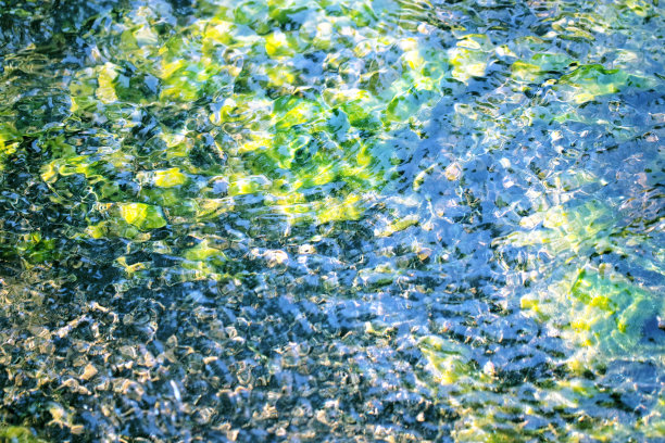 蓝绿色的修饰图像，基于一个浅溪流的图像，像夏天一样清澈的水和茂盛的藻类。图片下载