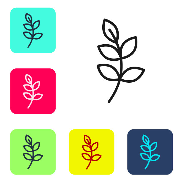 黑线柳叶图标孤立在白色背景。设置图标为彩色方形按钮。向量图片下载