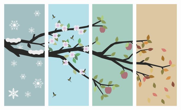 一组一年中四季的照片。树一年四次春、夏、秋、冬矢量插图。图片下载