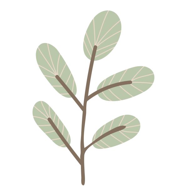 简单的秋叶细枝。手绘元素秋季装饰设计，万圣节邀请图片下载