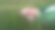 一个十几岁的女孩戴着耳机听音乐，躺在公园的绿草地上，微笑着露出舌头，穿着白色t恤和绿色毛衣，夏天的心情是一种生活方式图片下载