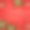 圣诞快乐的背景图片下载