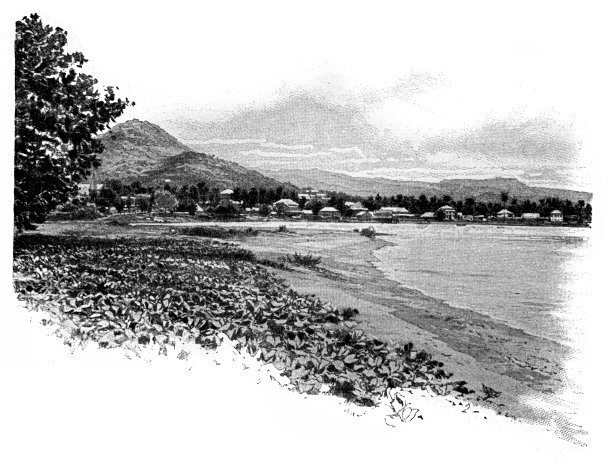 从马图图看阿皮亚图片下载