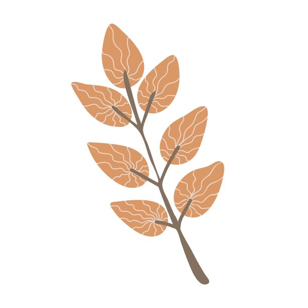 简单的秋叶细枝。手绘元素秋季装饰设计，万圣节邀请图片下载