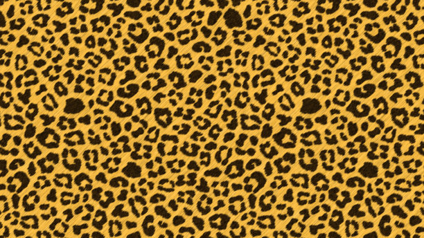 豹皮纹理，掠食兽皮纹理，抽象背景，壁纸，背景，横幅，图片下载
