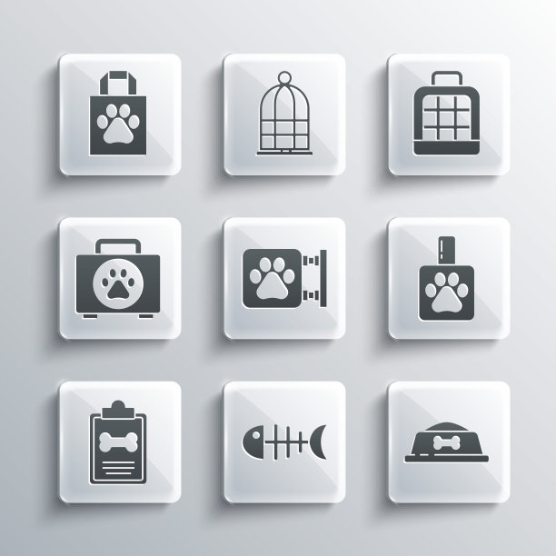 集鱼骨架，宠物食品碗，洗发水，兽医诊所，临床记录宠物，急救箱，购物袋和手提箱图标。向量图片下载